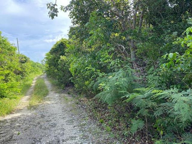 /listing-lots-acreage-in-gregory-town-59626.html from Coldwell Banker Bahamas Real Estate