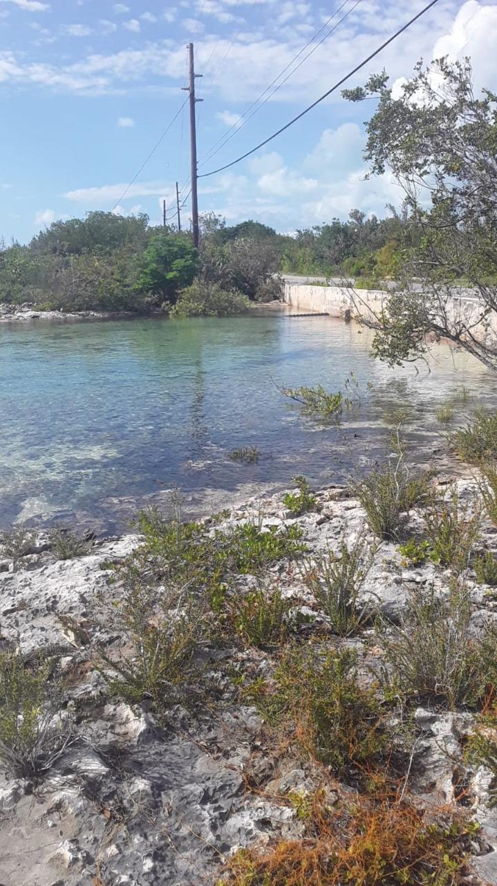 /listing-lots-acreage-in-doctors-creek-47818.html from Coldwell Banker Bahamas Real Estate