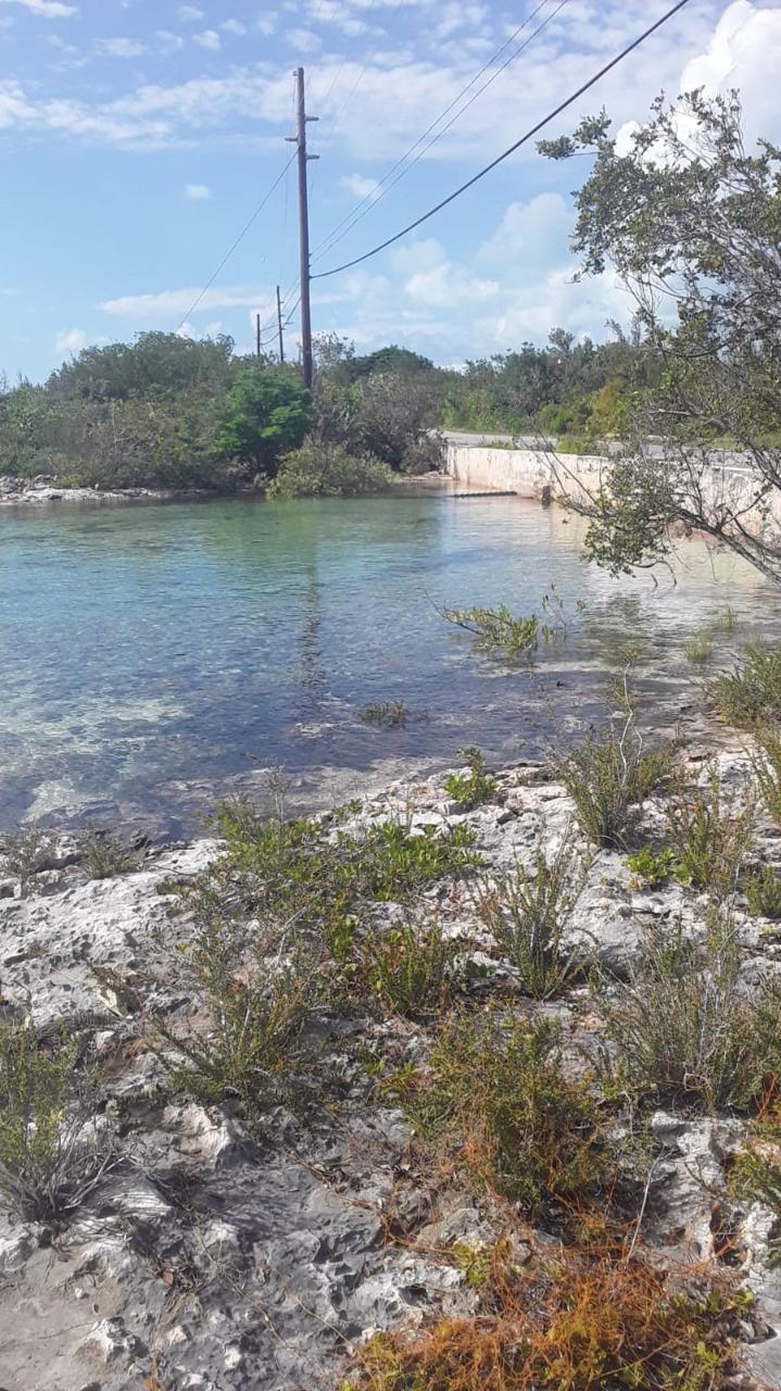 /listing-lots-acreage-in-doctors-creek-59312.html from Coldwell Banker Bahamas Real Estate