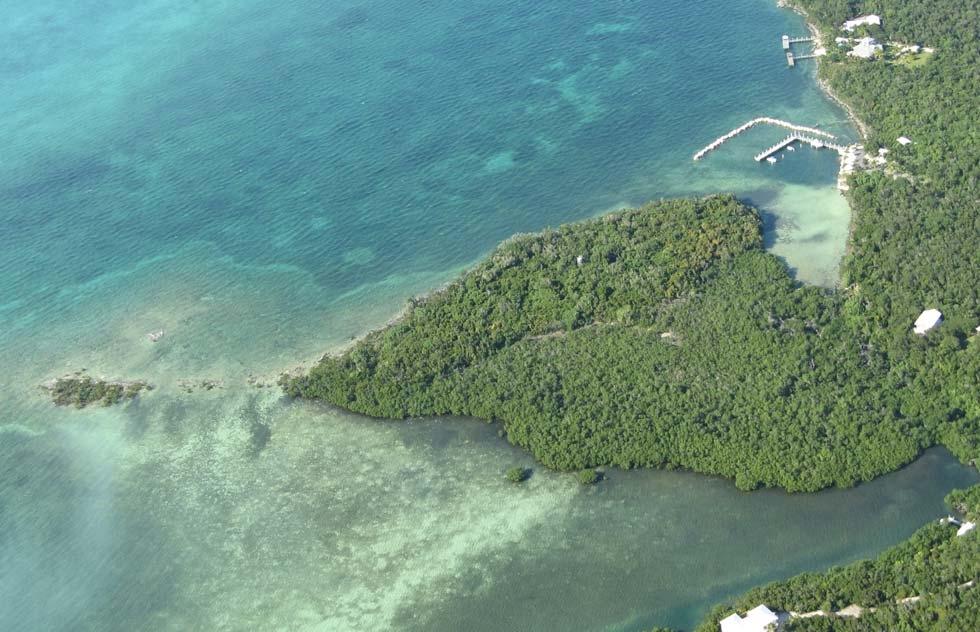 /listing-private-island-in-elbow-cay-53218.html from Coldwell Banker Bahamas Real Estate
