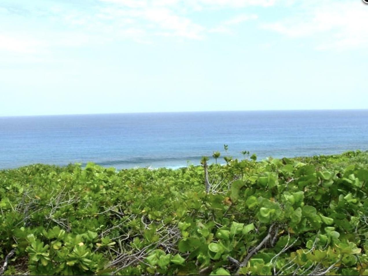 /listing-lots-acreage-in-mangrove-bush-58569.html from Coldwell Banker Bahamas Real Estate