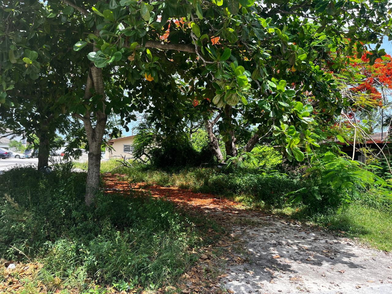/listing-lots-acreage-in-prince-charles-drive-68349.html from Coldwell Banker Bahamas Real Estate