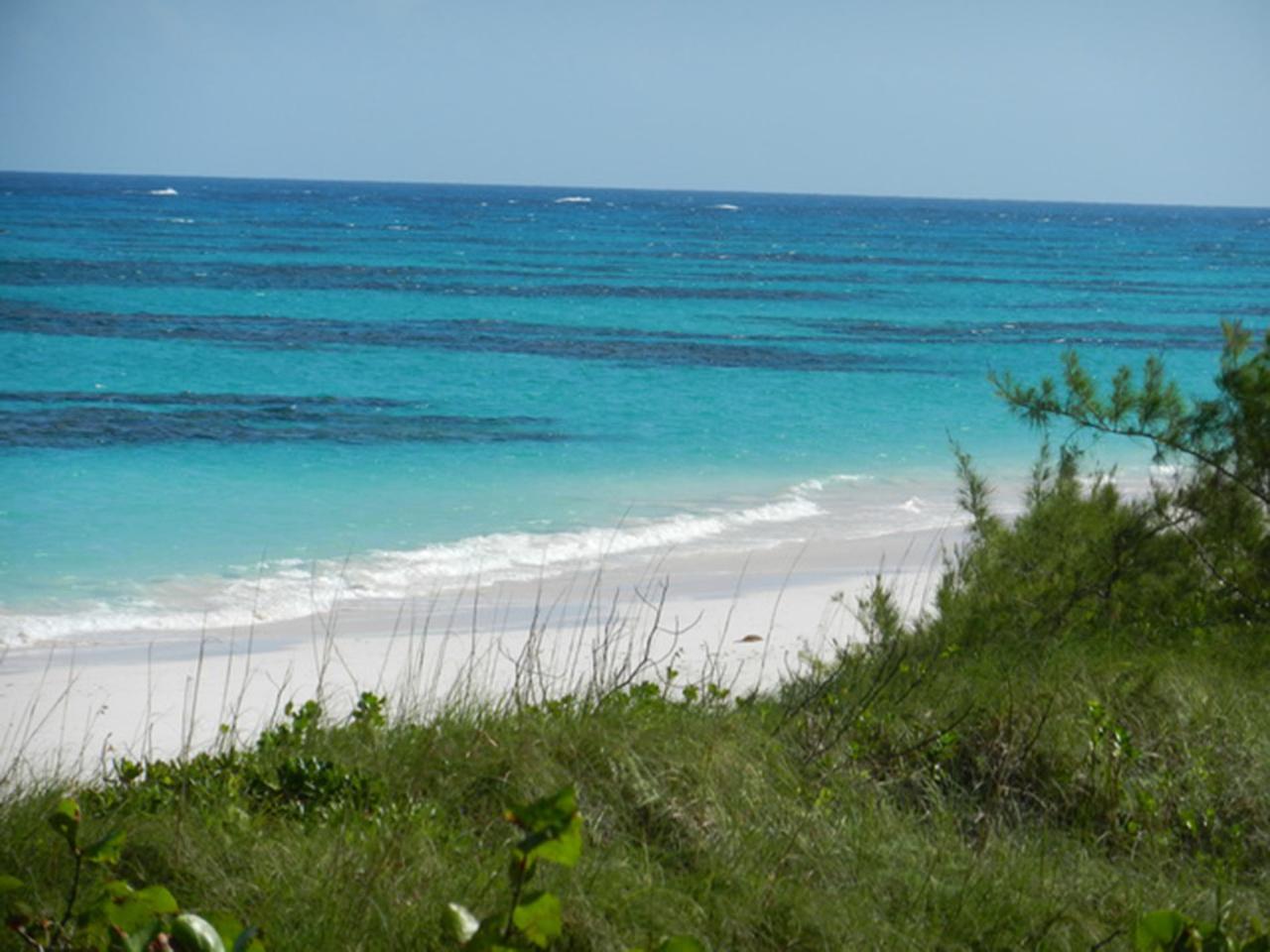 /listing-lots-acreage-in-greenwood-57609.html from Coldwell Banker Bahamas Real Estate