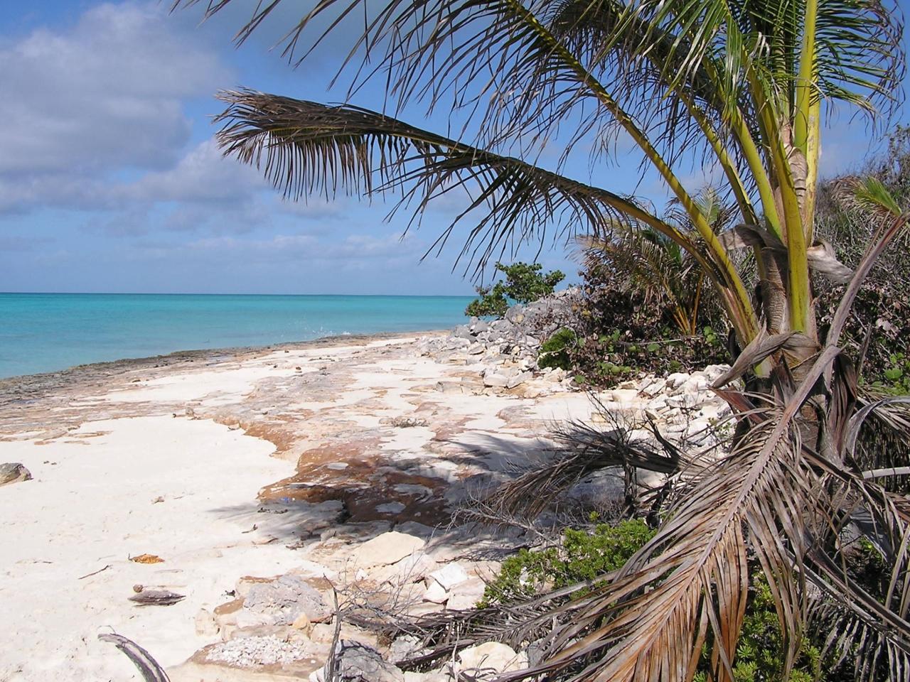 /listing-lots-acreage-in-cabbage-point-58451.html from Coldwell Banker Bahamas Real Estate