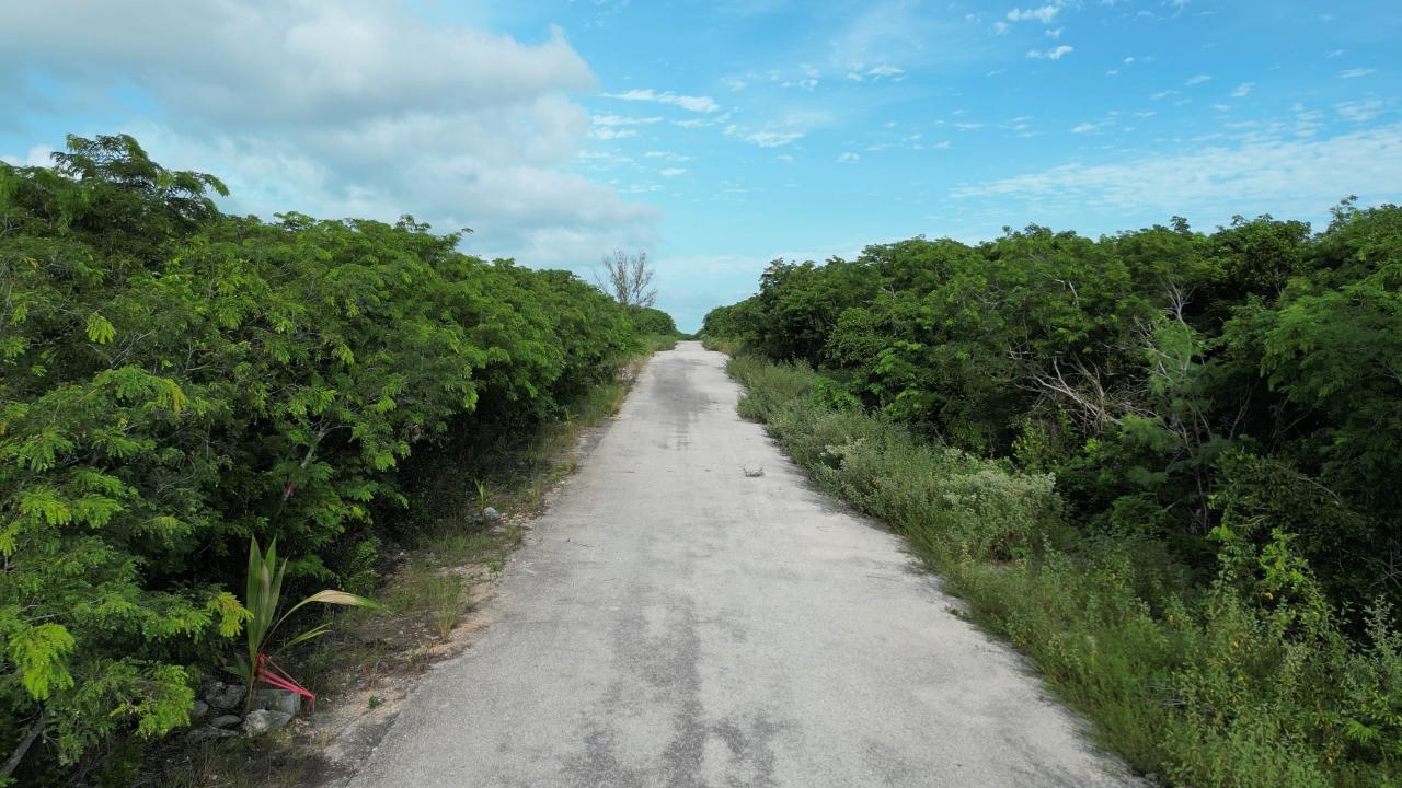 /listing-lots-acreage-in-bahama-island-beach-66642.html from Coldwell Banker Bahamas Real Estate