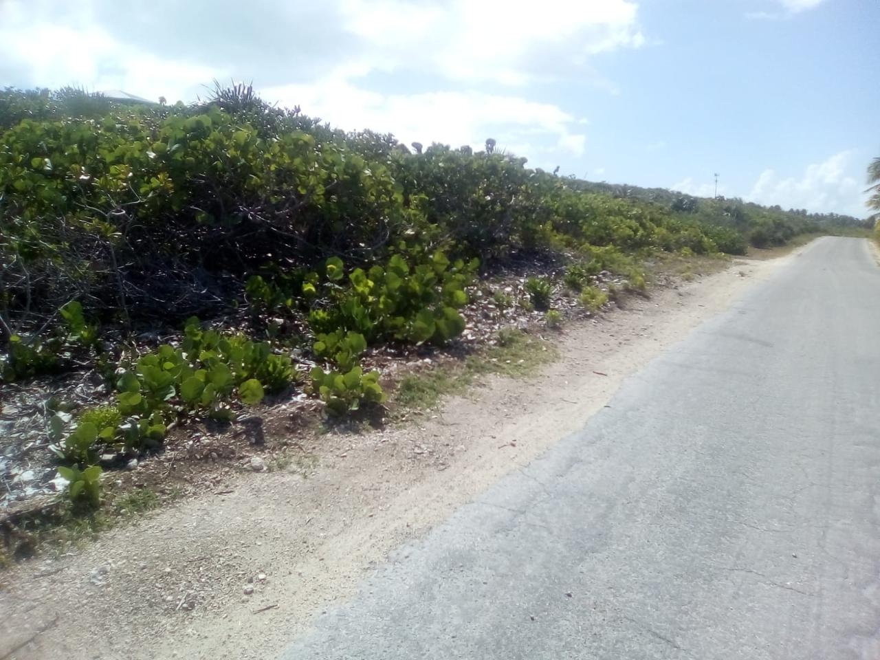 /listing-lots-acreage-in-stella-maris-67776.html from Coldwell Banker Bahamas Real Estate