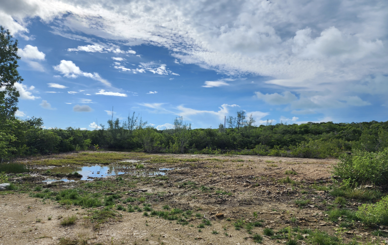 /listing-lots-acreage-in-bahama-sound-67737.html from Coldwell Banker Bahamas Real Estate