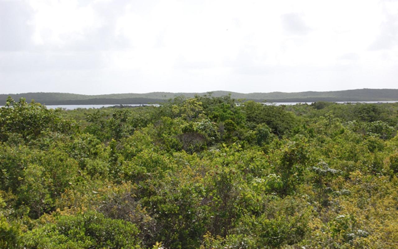 /listing-lots-acreage-in-columbus-landings-67715.html from Coldwell Banker Bahamas Real Estate