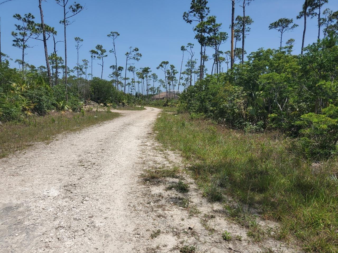 /listing-lots-acreage-in-yeomanwood-subdivision-67709.html from Coldwell Banker Bahamas Real Estate