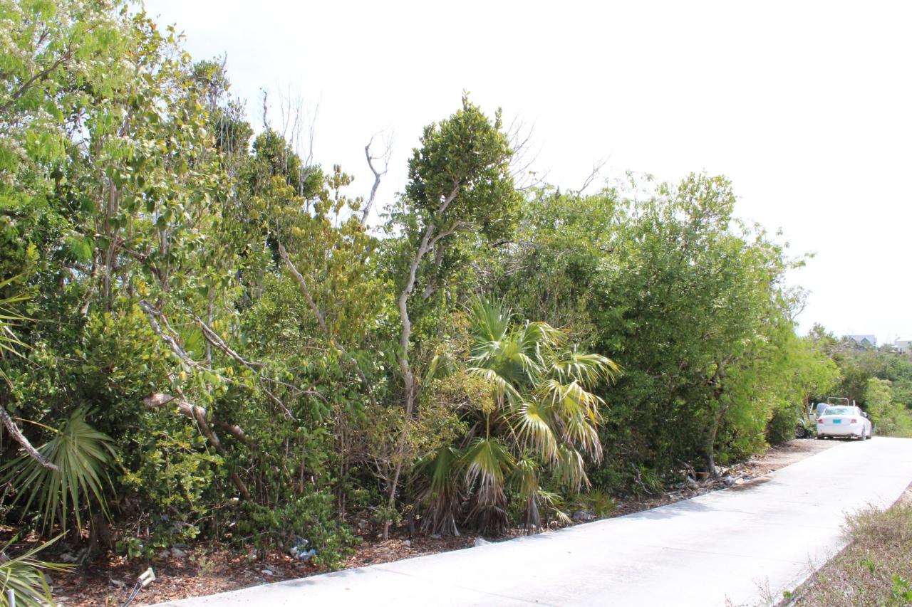 /listing-lots-acreage-in-elbow-cay-65972.html from Coldwell Banker Bahamas Real Estate