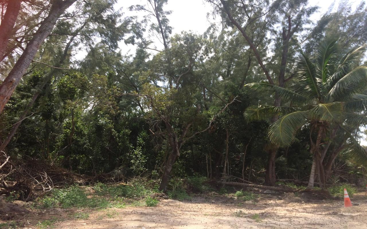 /listing-lots-acreage-in-andros-beach-colony-67166.html from Coldwell Banker Bahamas Real Estate