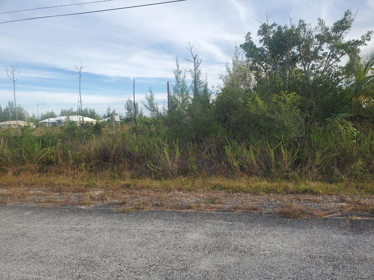 /listing-lots-acreage-in-derby-57646.html from Coldwell Banker Bahamas Real Estate