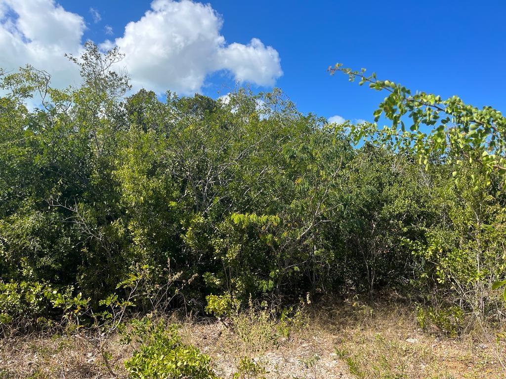 /listing-lots-acreage-in-deadmans-cay-58035.html from Coldwell Banker Bahamas Real Estate