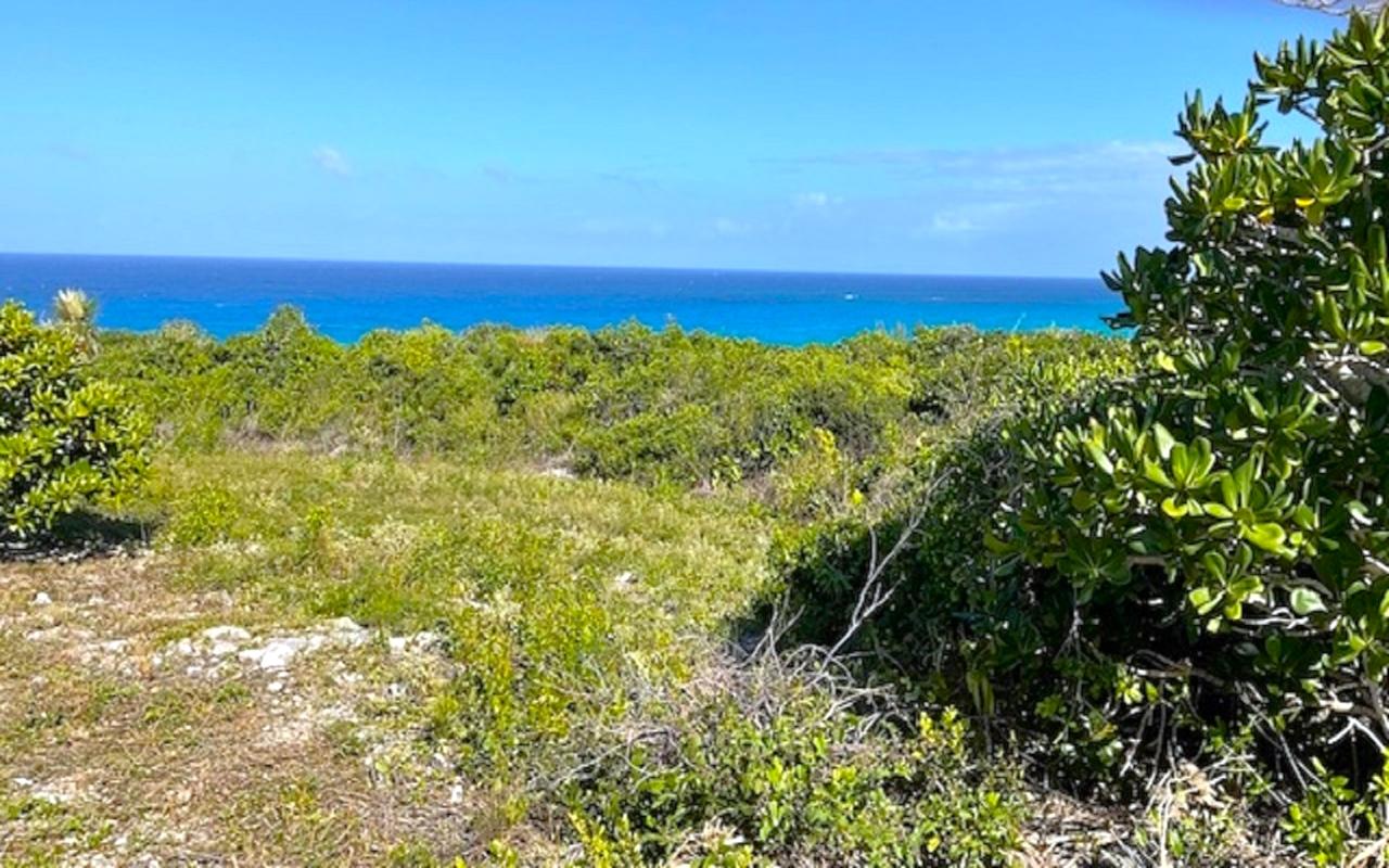 /listing-lots-acreage-in-stella-maris-67683.html from Coldwell Banker Bahamas Real Estate