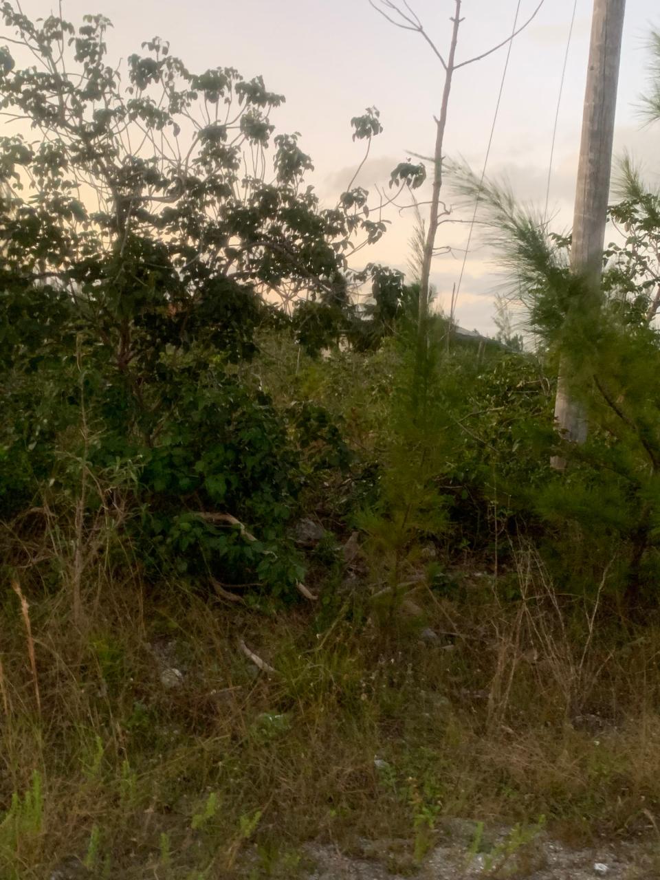 /listing-lots-acreage-in-lincoln-green-73881.html from Coldwell Banker Bahamas Real Estate