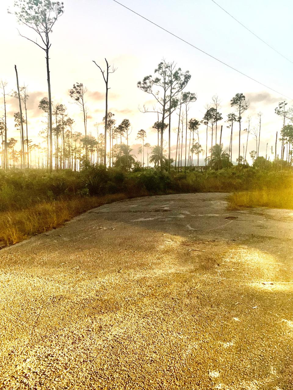 /listing-lots-acreage-in-bristol-bay-73880.html from Coldwell Banker Bahamas Real Estate