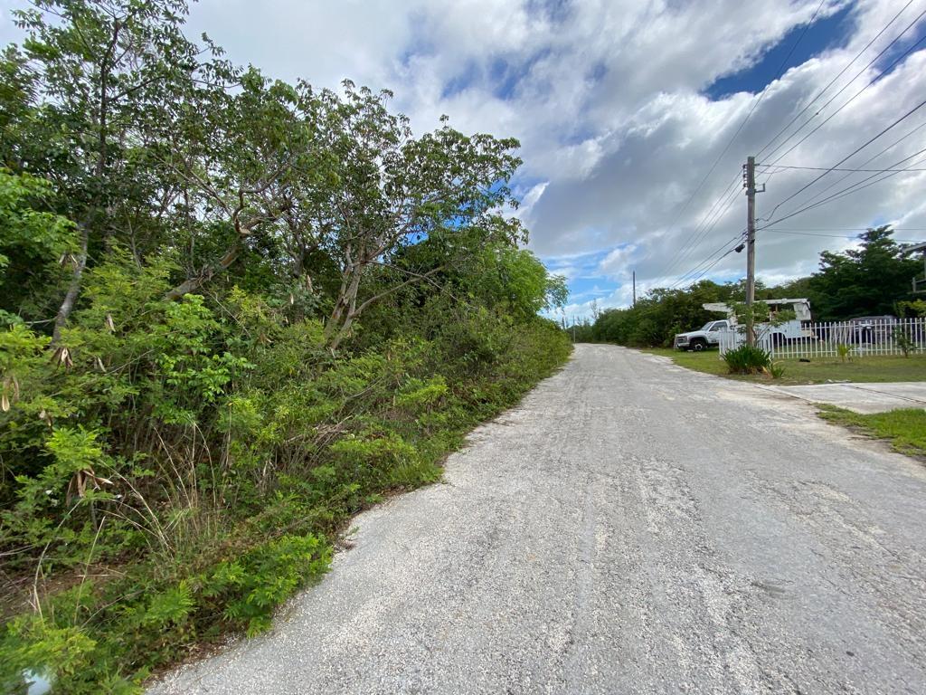 /listing-lots-acreage-in-west-end-67439.html from Coldwell Banker Bahamas Real Estate