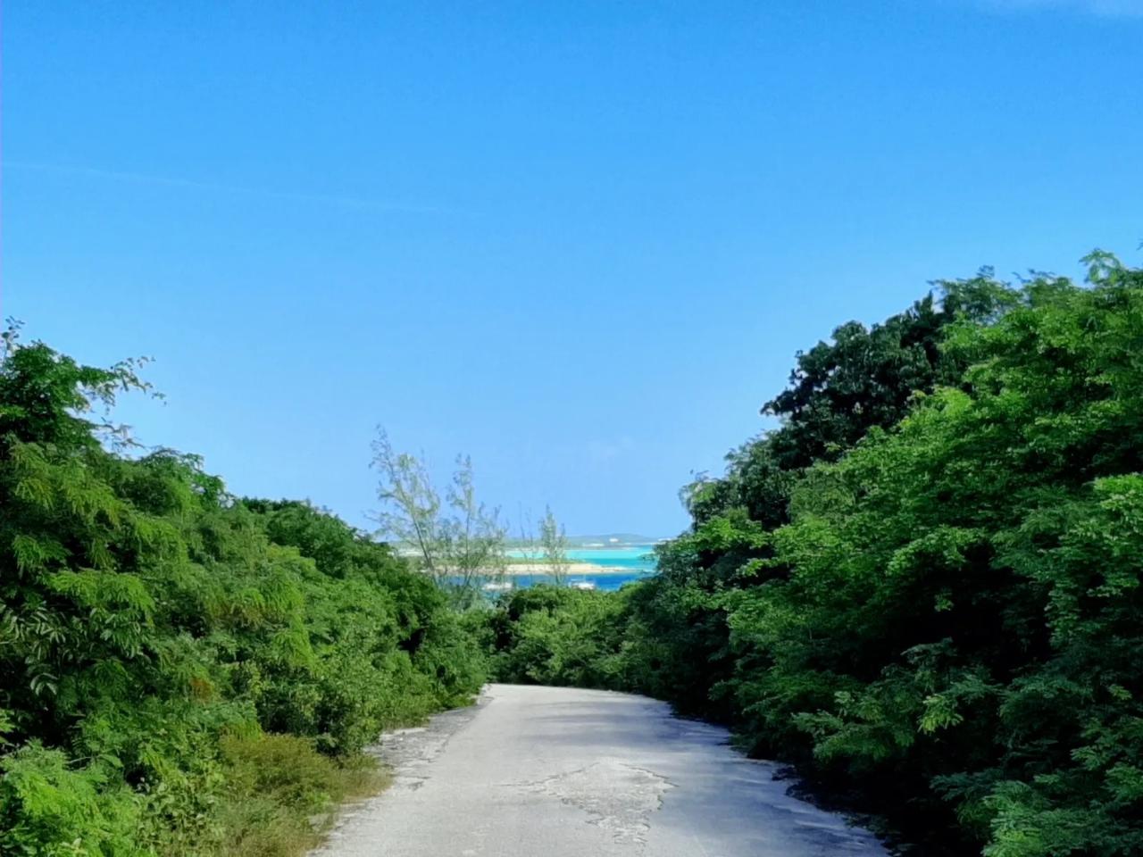 /listing-lots-acreage-in-flamingo-bay-66458.html from Coldwell Banker Bahamas Real Estate