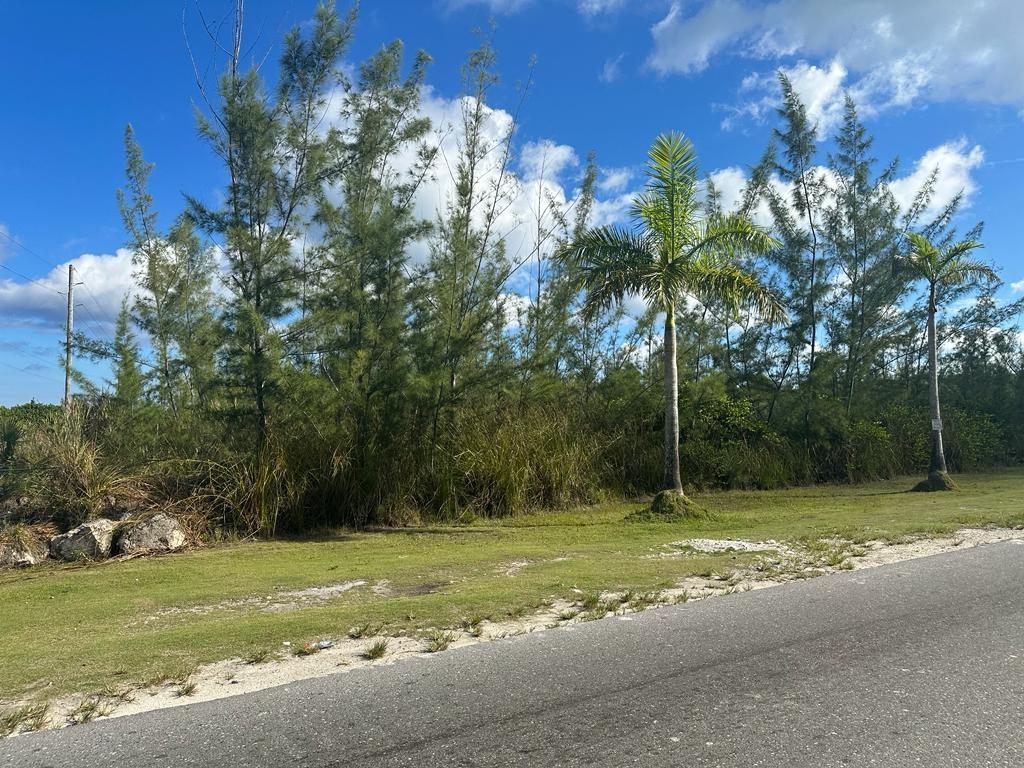 /listing-lots-acreage-in-airport-industrial-park-54167.html from Coldwell Banker Bahamas Real Estate