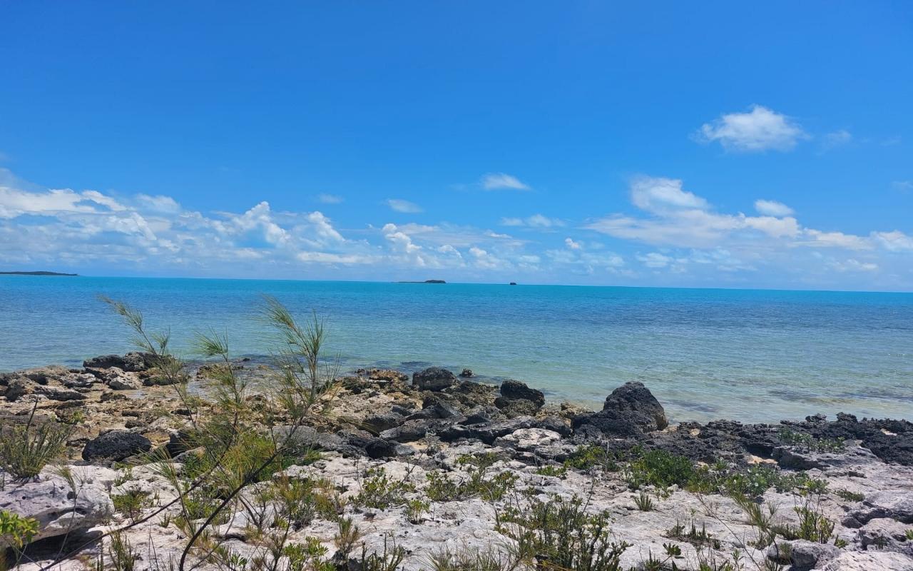 /listing-lots-acreage-in-millers-67396.html from Coldwell Banker Bahamas Real Estate