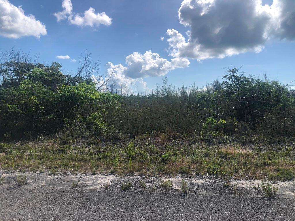 /listing-lots-acreage-in-emerald-bay-58103.html from Coldwell Banker Bahamas Real Estate