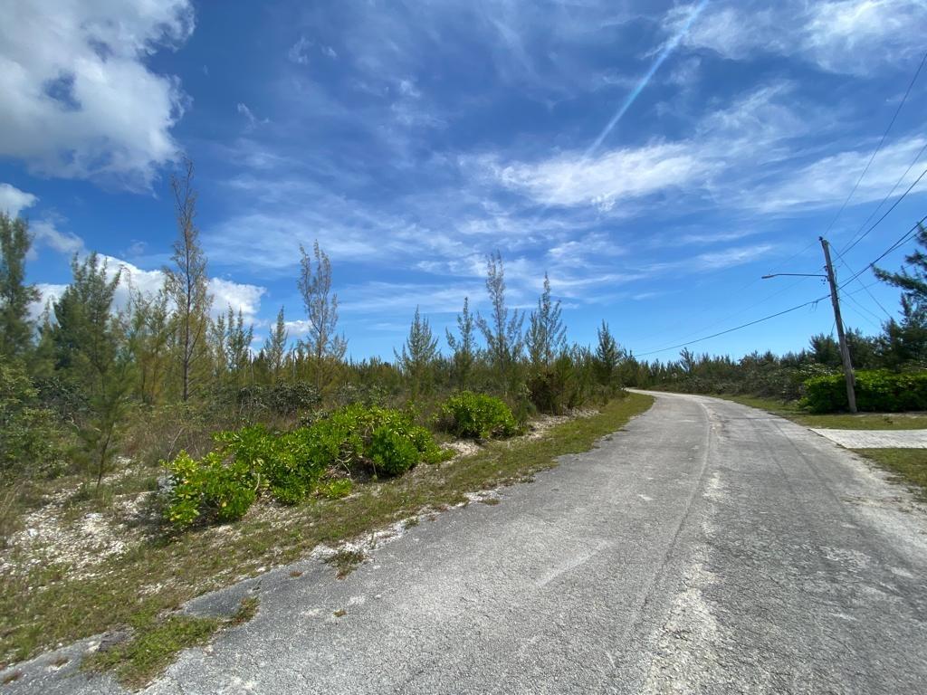 /listing-lots-acreage-in-lincoln-green-67376.html from Coldwell Banker Bahamas Real Estate