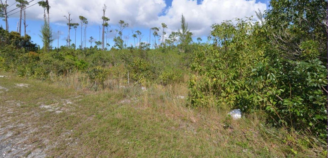 /listing-lots-acreage-in-sentinel-bay-subdivision-57723.html from Coldwell Banker Bahamas Real Estate