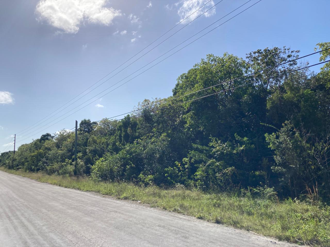 /listing-lots-acreage-in-congo-town-67283.html from Coldwell Banker Bahamas Real Estate