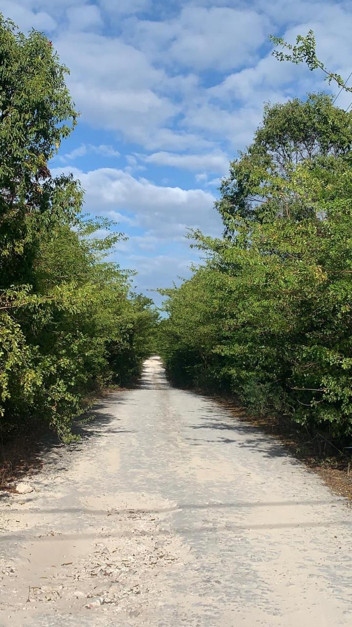 /listing-lots-acreage-in-bahama-sound-66661.html from Coldwell Banker Bahamas Real Estate