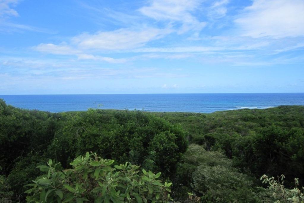 /listing-lots-acreage-in-miley-66681.html from Coldwell Banker Bahamas Real Estate