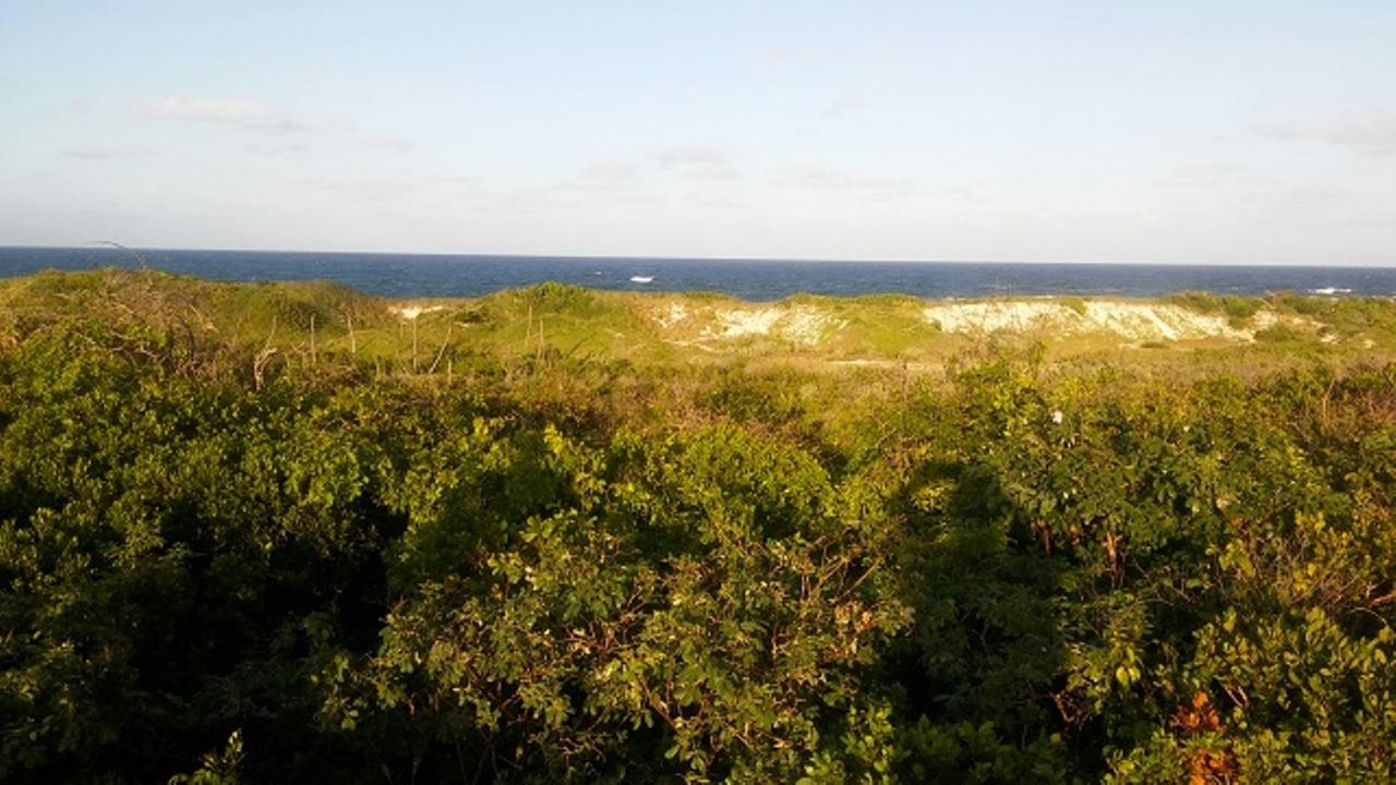 /listing-lots-acreage-in-millers-66688.html from Coldwell Banker Bahamas Real Estate