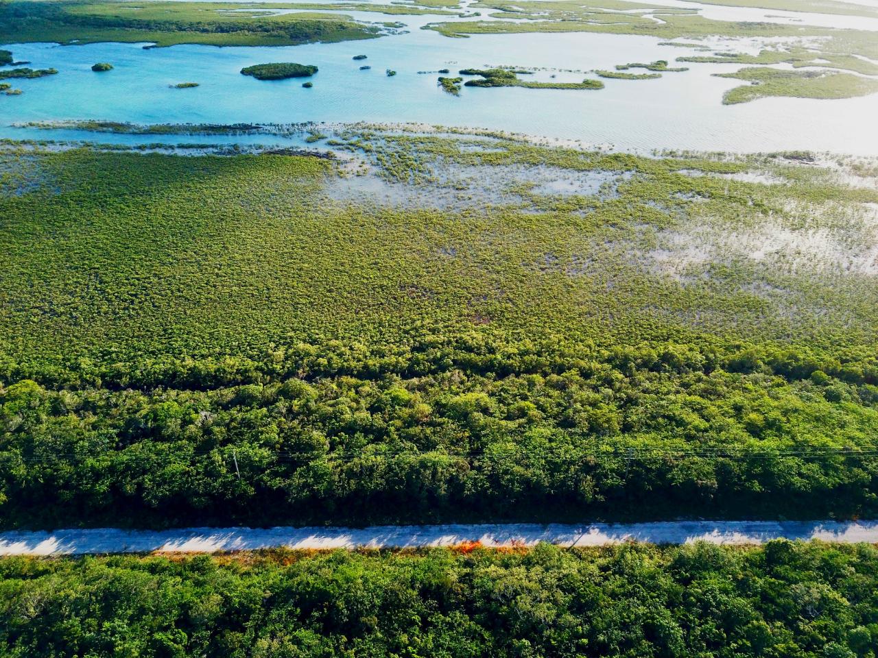 /listing-lots-acreage-in-little-exuma-73037.html from Coldwell Banker Bahamas Real Estate
