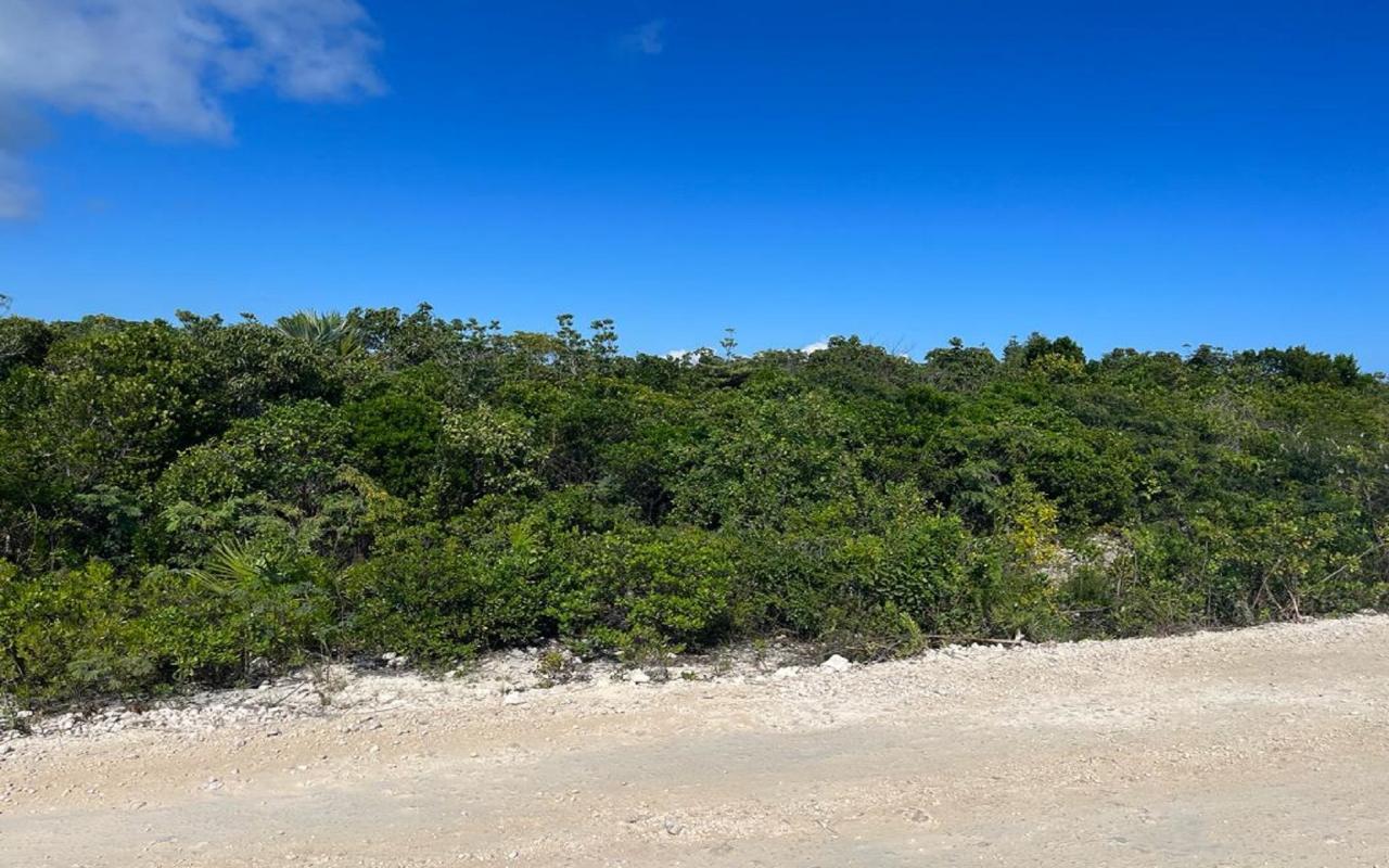 /listing-lots-acreage-in-indian-hole-point-64742.html from Coldwell Banker Bahamas Real Estate