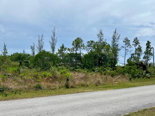 /listing-lots-acreage-in-freeport-66729.html from Coldwell Banker Bahamas Real Estate
