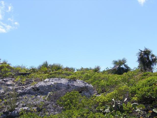 /listing-lots-acreage-in-rainbow-bay-60391.html from Coldwell Banker Bahamas Real Estate