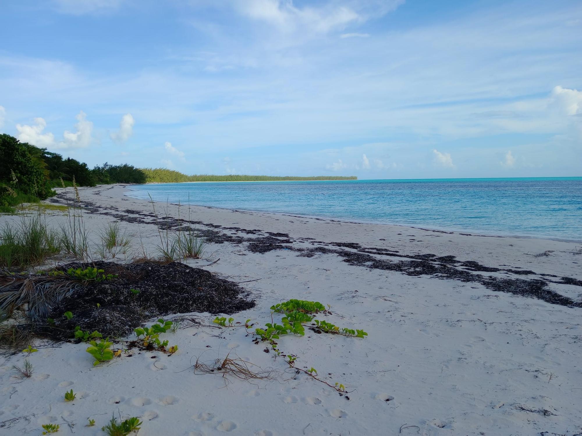 /listing-lots-acreage-in-other-cat-island-64335.html from Coldwell Banker Bahamas Real Estate