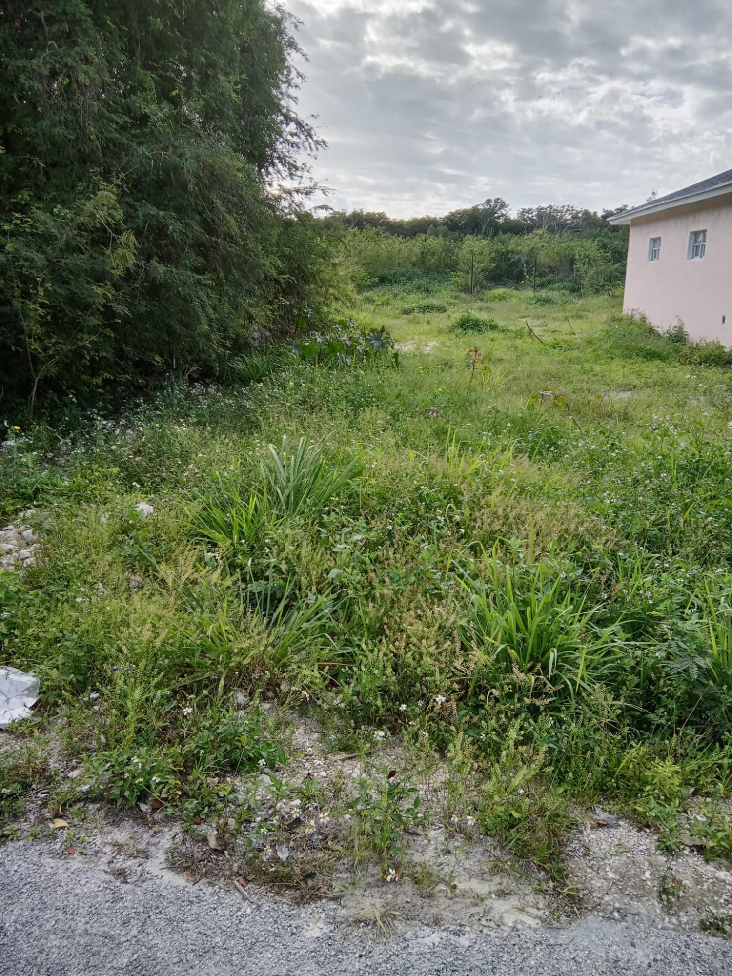 /listing-lots-acreage-in-fresh-creek-64251.html from Coldwell Banker Bahamas Real Estate