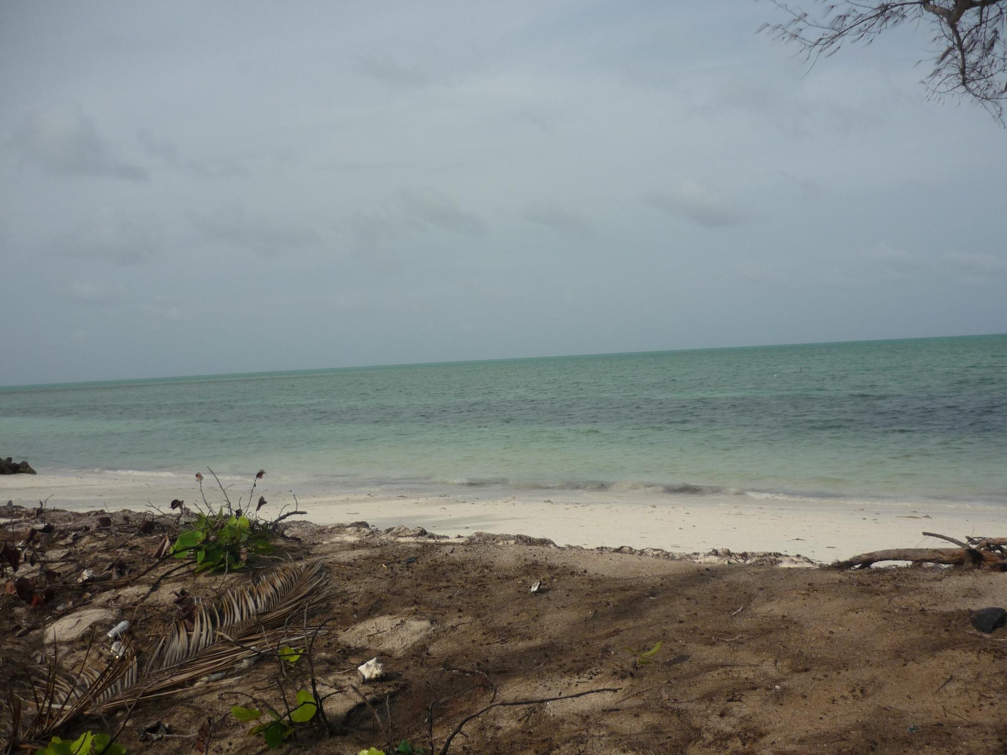 /listing-lots-acreage-in-mangrove-cay-74166.html from Coldwell Banker Bahamas Real Estate