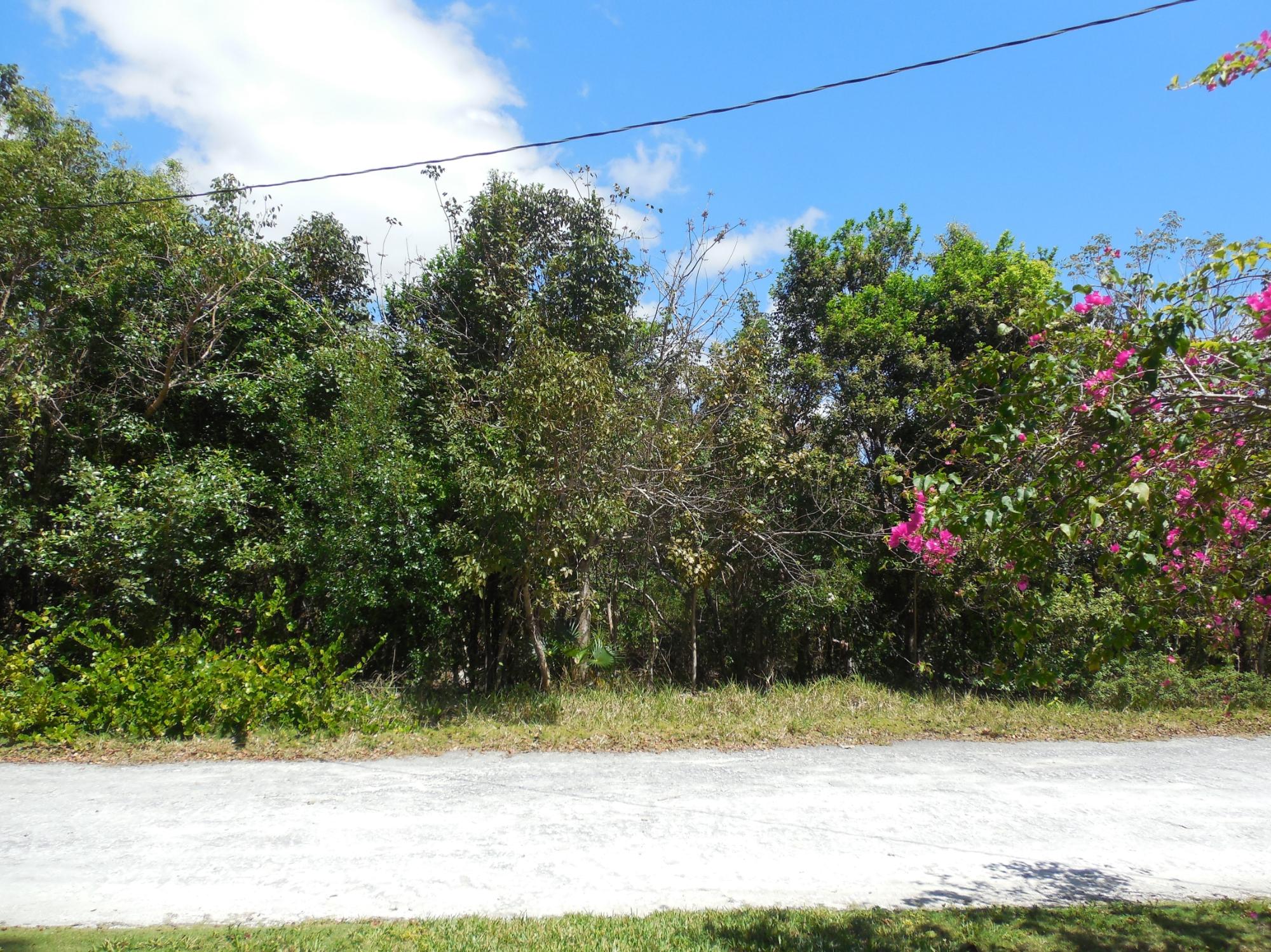 /listing-lots-acreage-in-bahama-palm-shores-64415.html from Coldwell Banker Bahamas Real Estate
