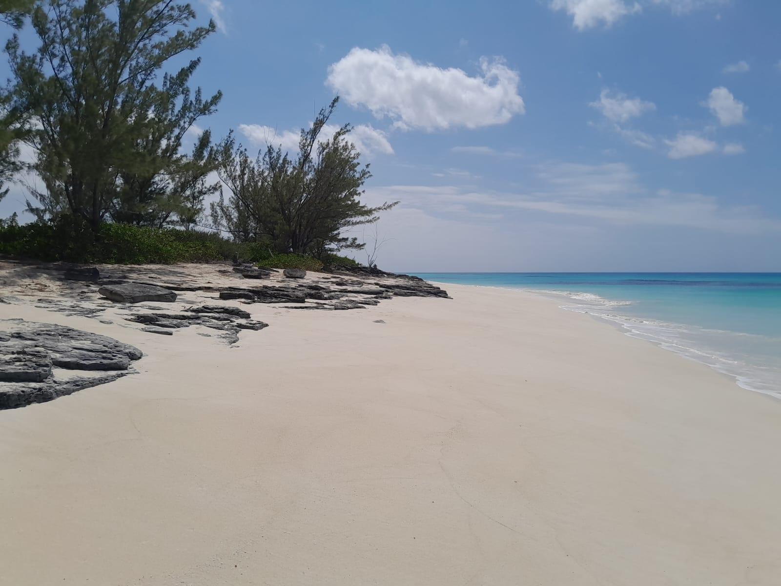 /listing-lots-acreage-in-tarpum-bay-66524.html from Coldwell Banker Bahamas Real Estate