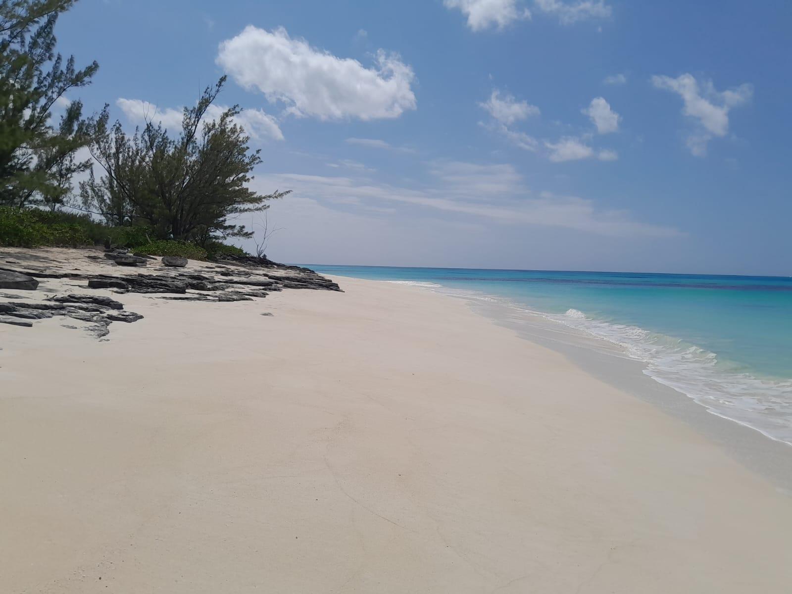 /listing-lots-acreage-in-tarpum-bay-66464.html from Coldwell Banker Bahamas Real Estate