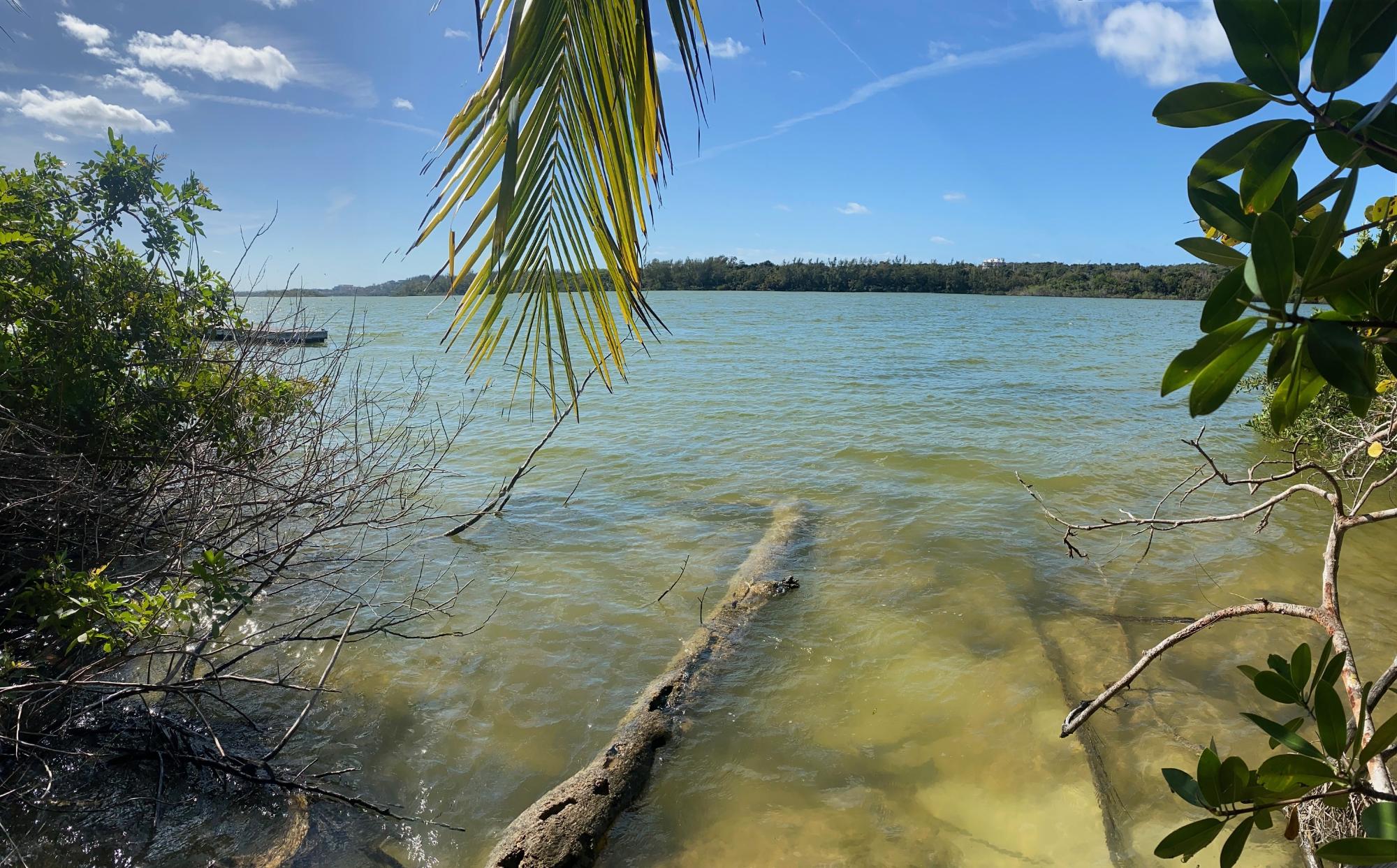 /listing-lots-acreage-in-cable-beach-72170.html from Coldwell Banker Bahamas Real Estate