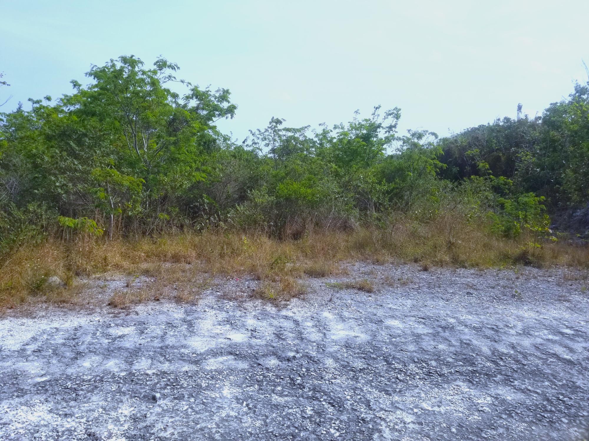 /listing-lots-acreage-in-bahama-palm-shores-75887.html from Coldwell Banker Bahamas Real Estate
