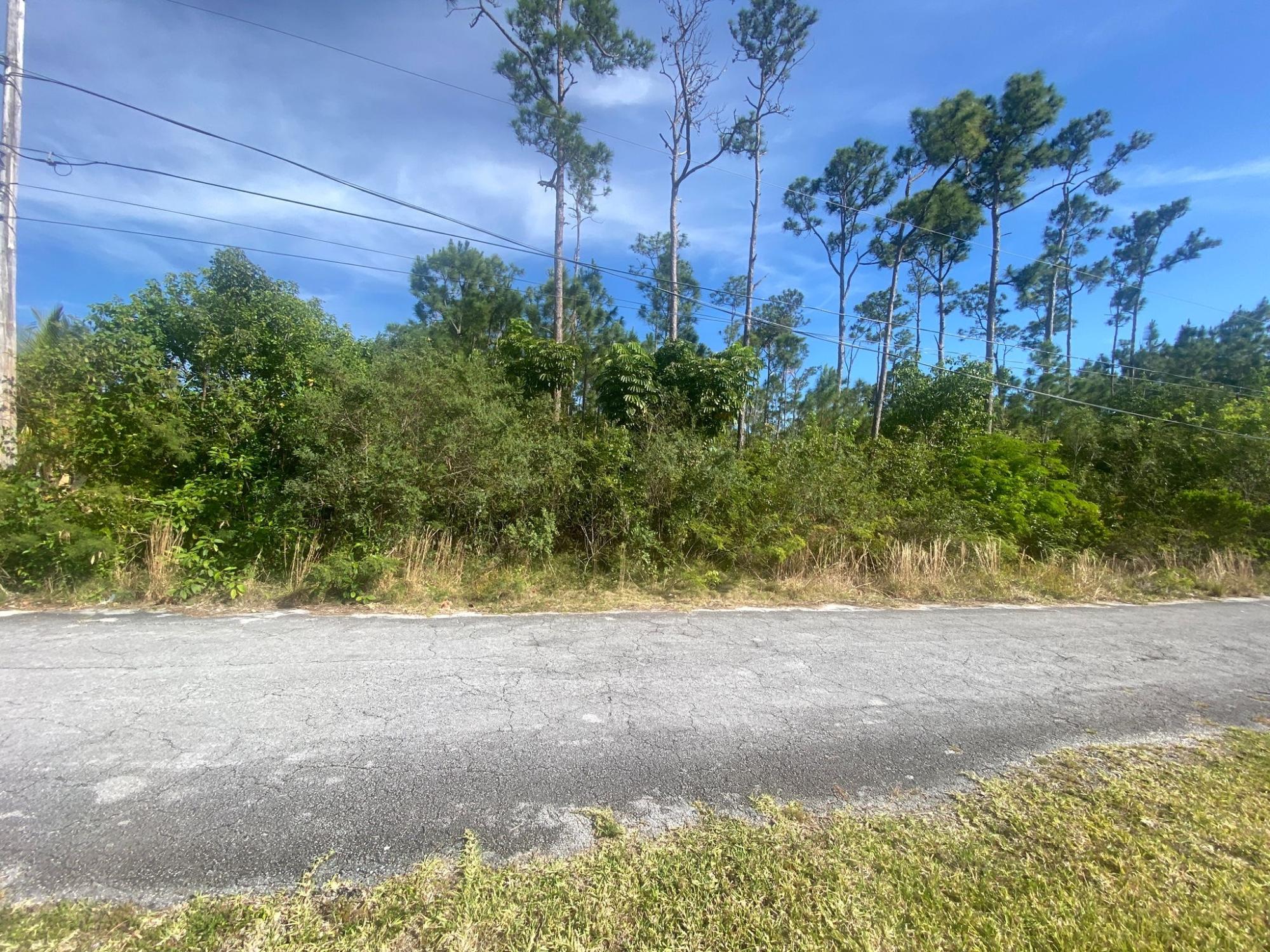 /listing-lots-acreage-in-freeport-68175.html from Coldwell Banker Bahamas Real Estate