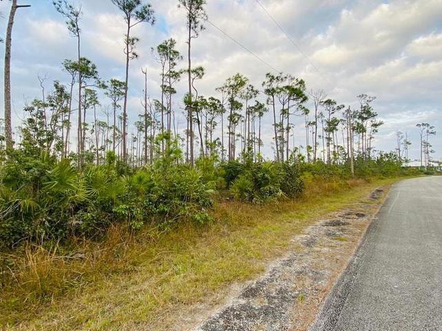 /listing-lots-acreage-in-shannon-country-club-68358.html from Coldwell Banker Bahamas Real Estate