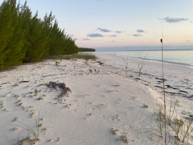 /listing-lots-acreage-in-other-cat-island-68400.html from Coldwell Banker Bahamas Real Estate