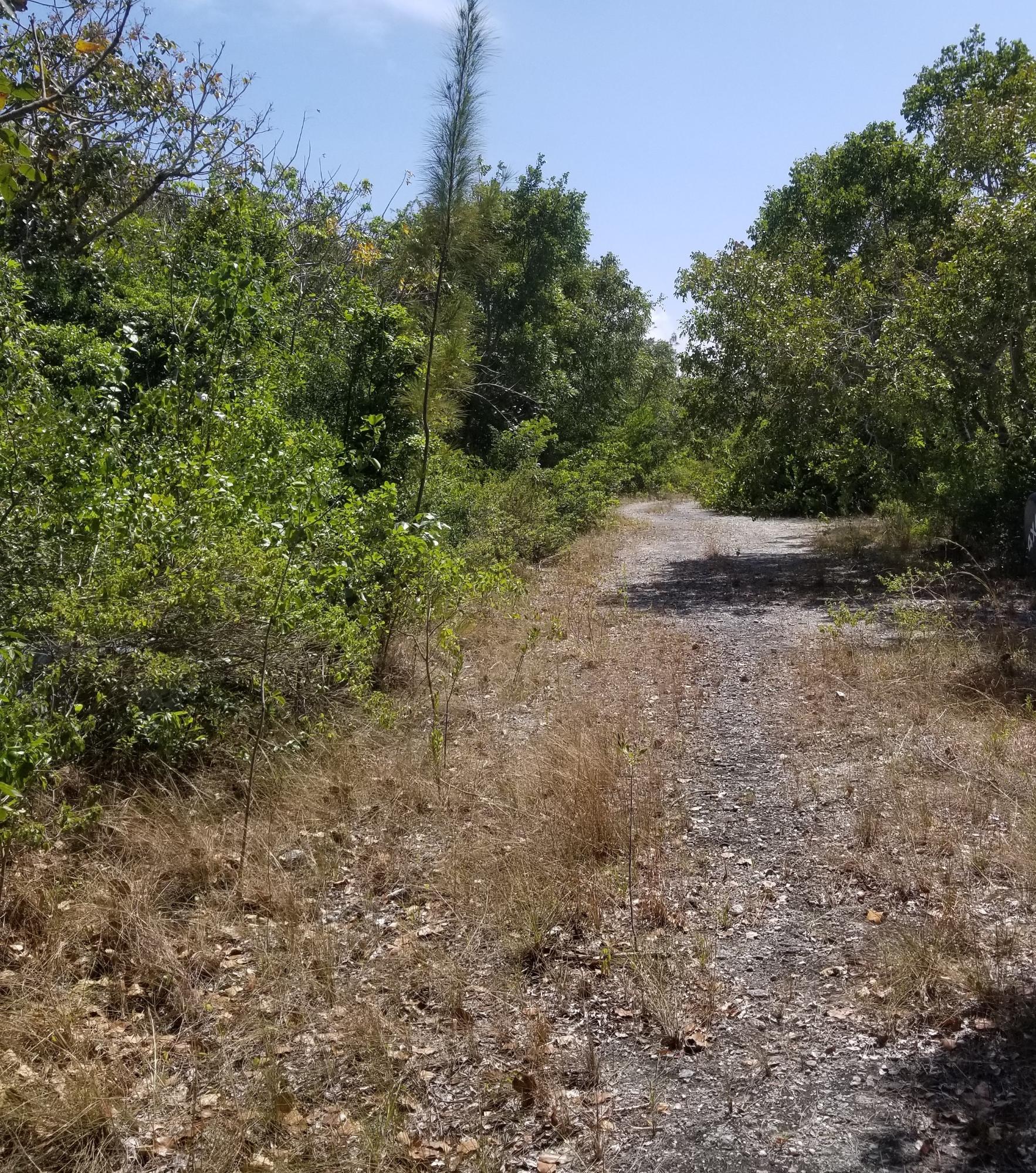 /listing-lots-acreage-in-bahama-palm-shores-68407.html from Coldwell Banker Bahamas Real Estate