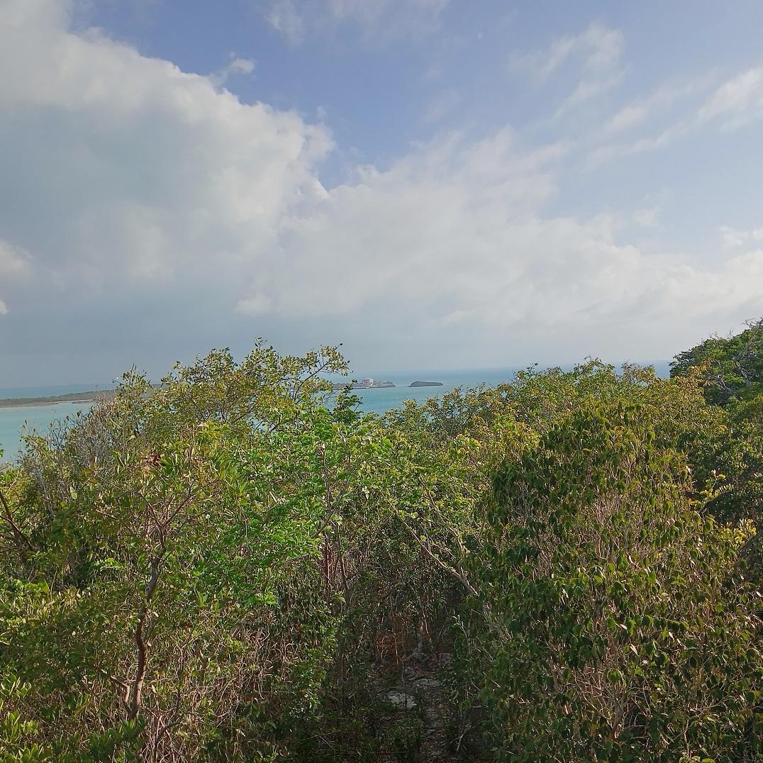 /listing-lots-acreage-in-salt-pond-72844.html from Coldwell Banker Bahamas Real Estate