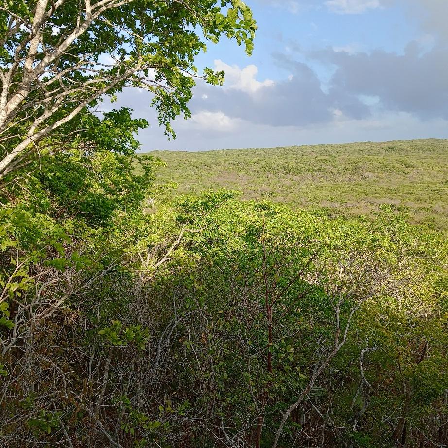 /listing-lots-acreage-in-salt-pond-68424.html from Coldwell Banker Bahamas Real Estate