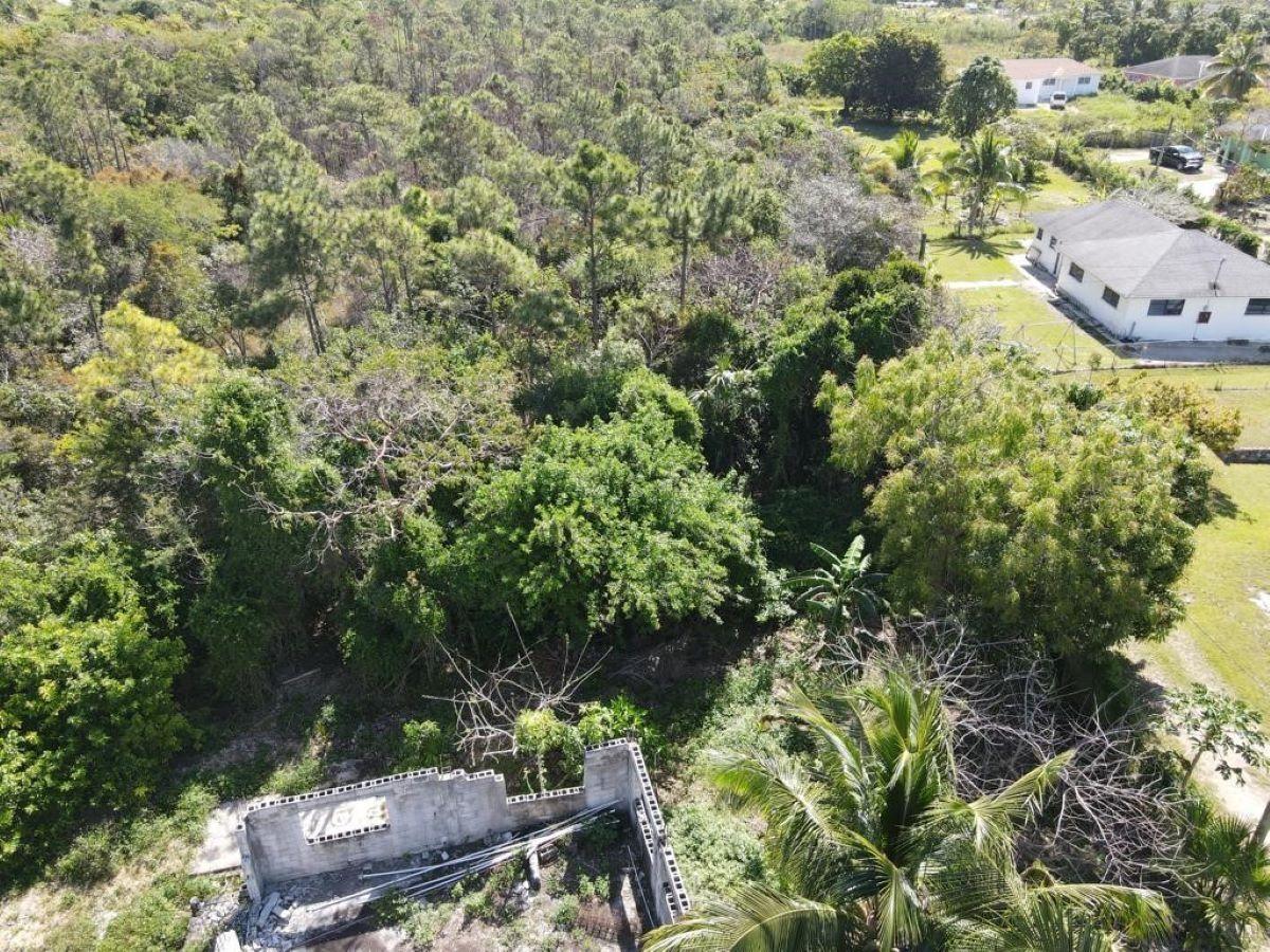 /listing-lots-acreage-in-bacardi-road-72380.html from Coldwell Banker Bahamas Real Estate